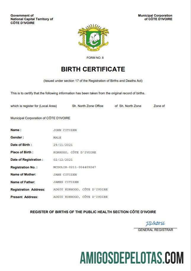 Em branco modelo Word e PDF de certidão de nascimento de registro vital da Costa do Marfim